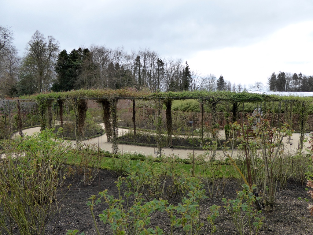 Overview of Rose Garden