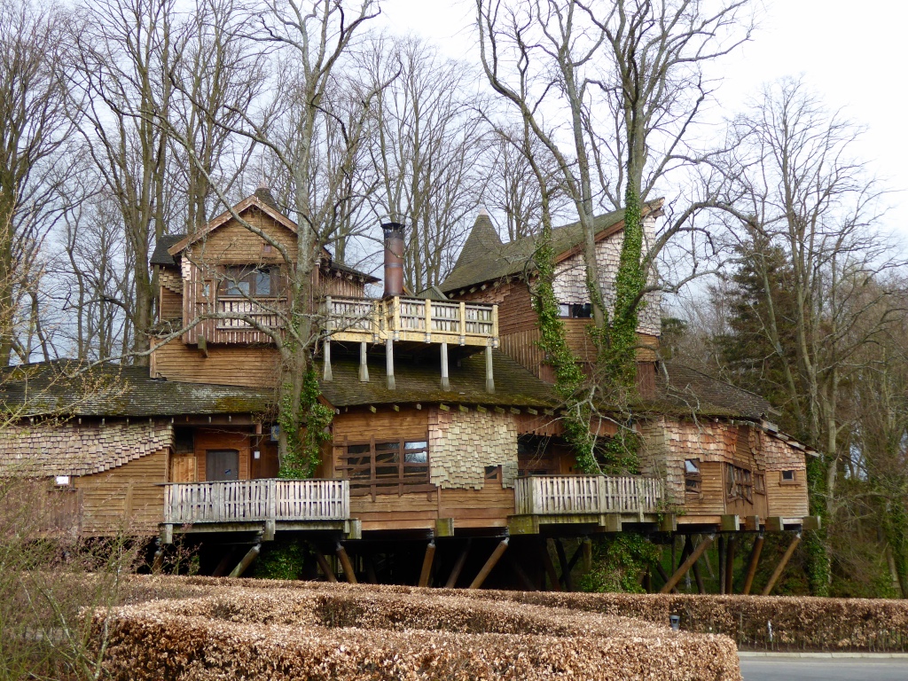 Tree house
