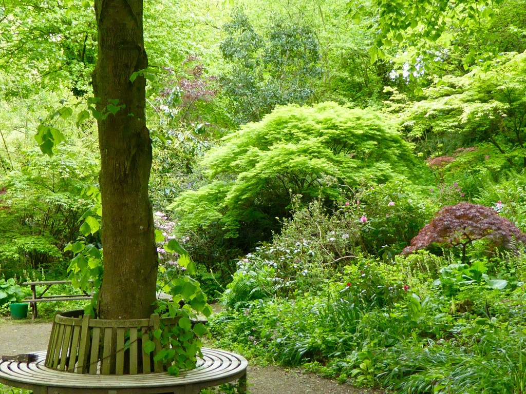 Woodland walks